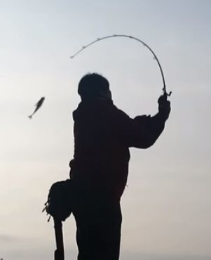 ベイトリールで遠投するタックルについて 琵琶湖 瀬田川バス釣り ロクマルを狙い浪漫を追う