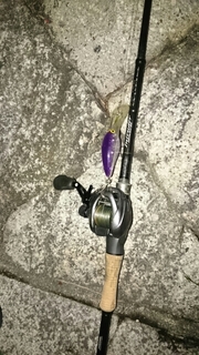 20170201204652647.jpg